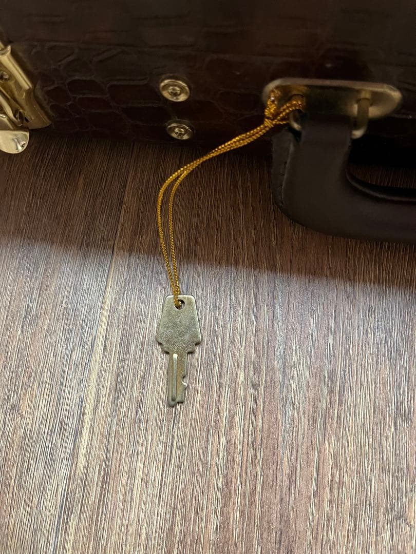 ARIA VM-2001 The Ventures mosrite モズライト