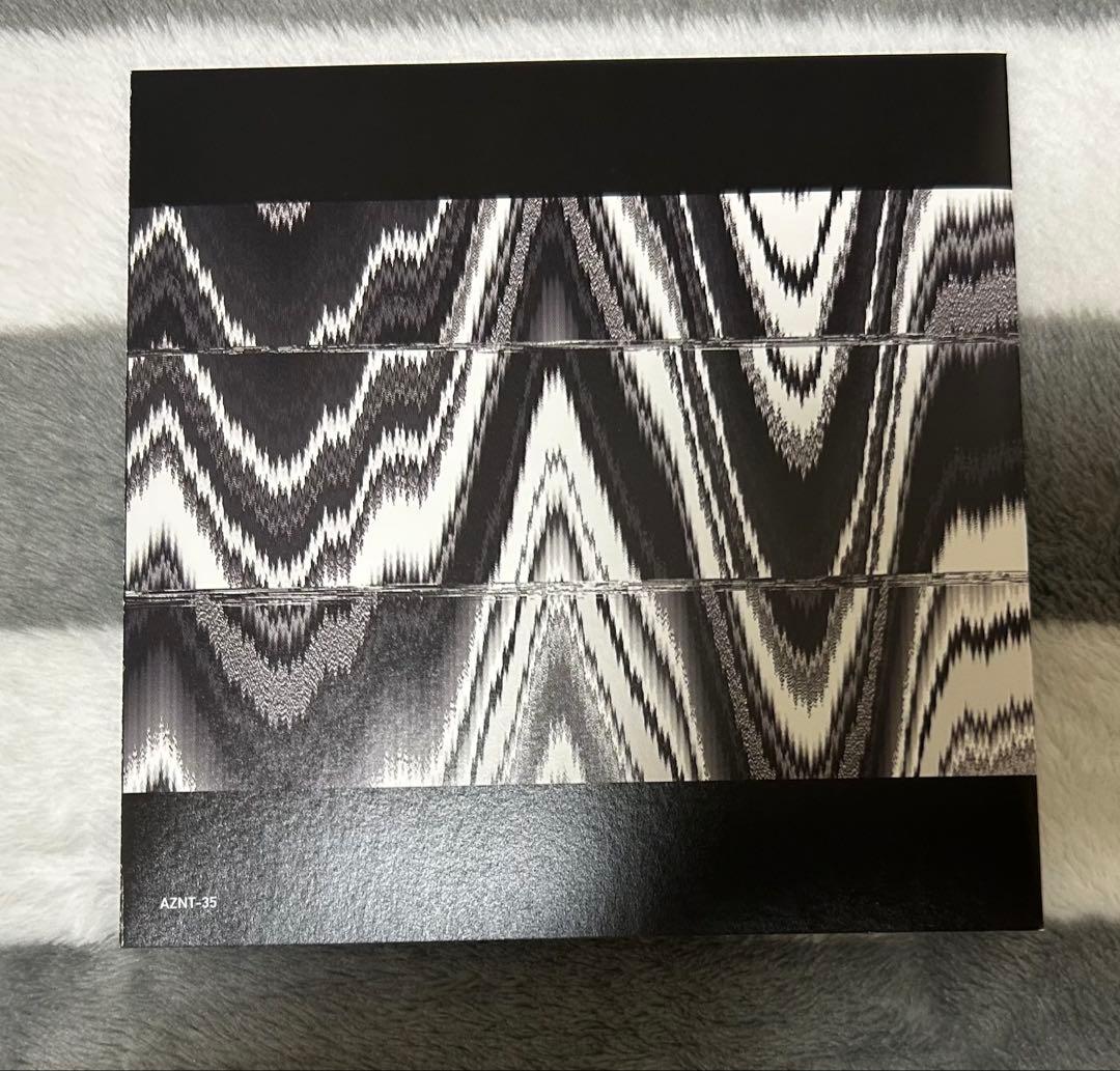 お値下価格【会場限定版】ONE OK ROCK Skyfall CD