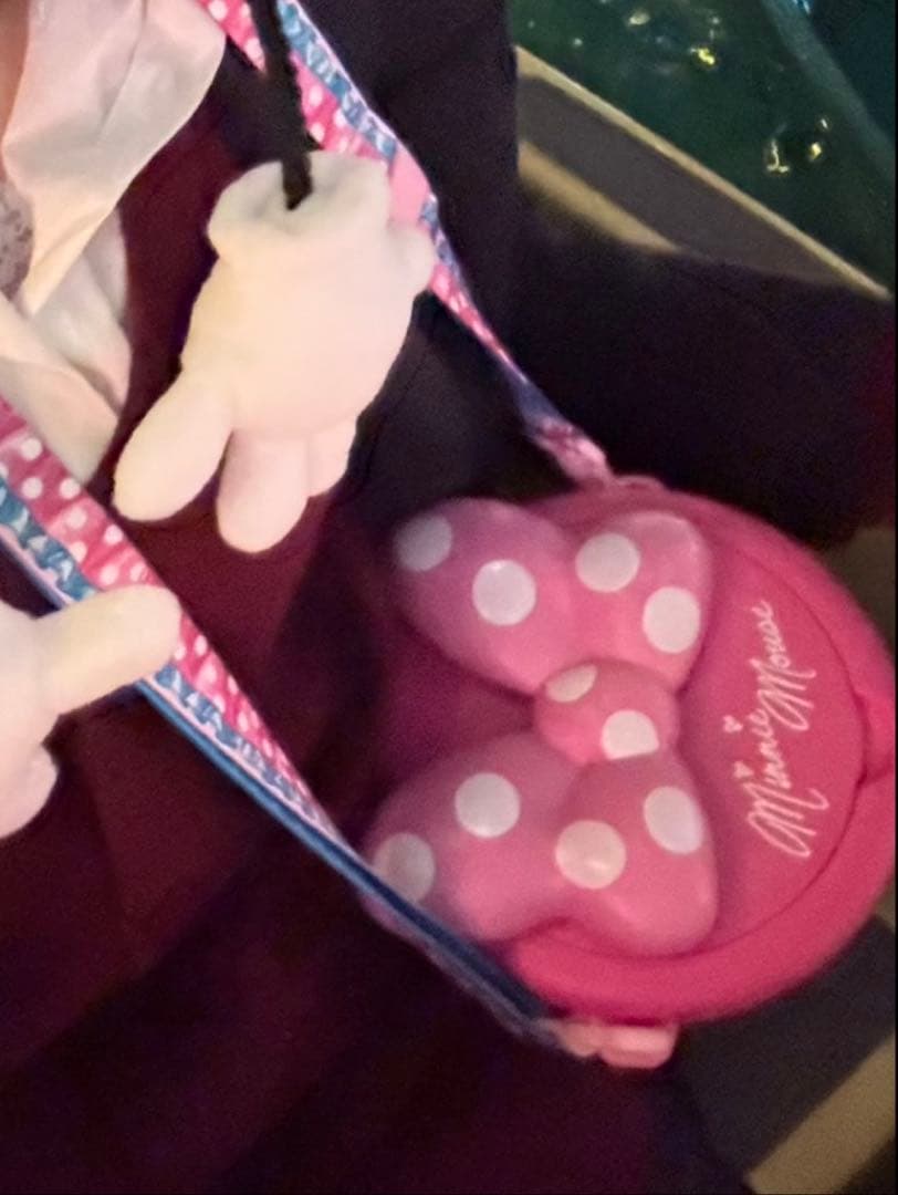 ポップコーンバケット　パルパルーザ　ミニー　ファンダーランド　ディズニーランド