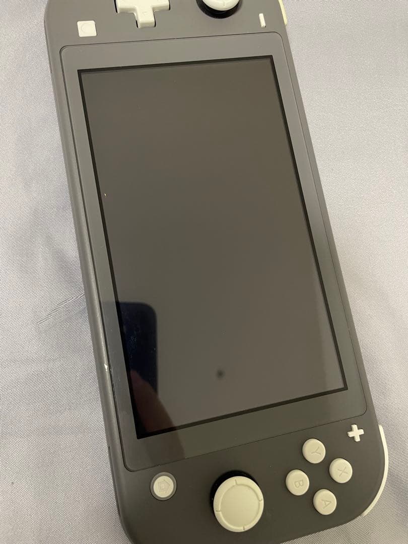 Nintendo Switch Lite グレー 本体(起動確認済)