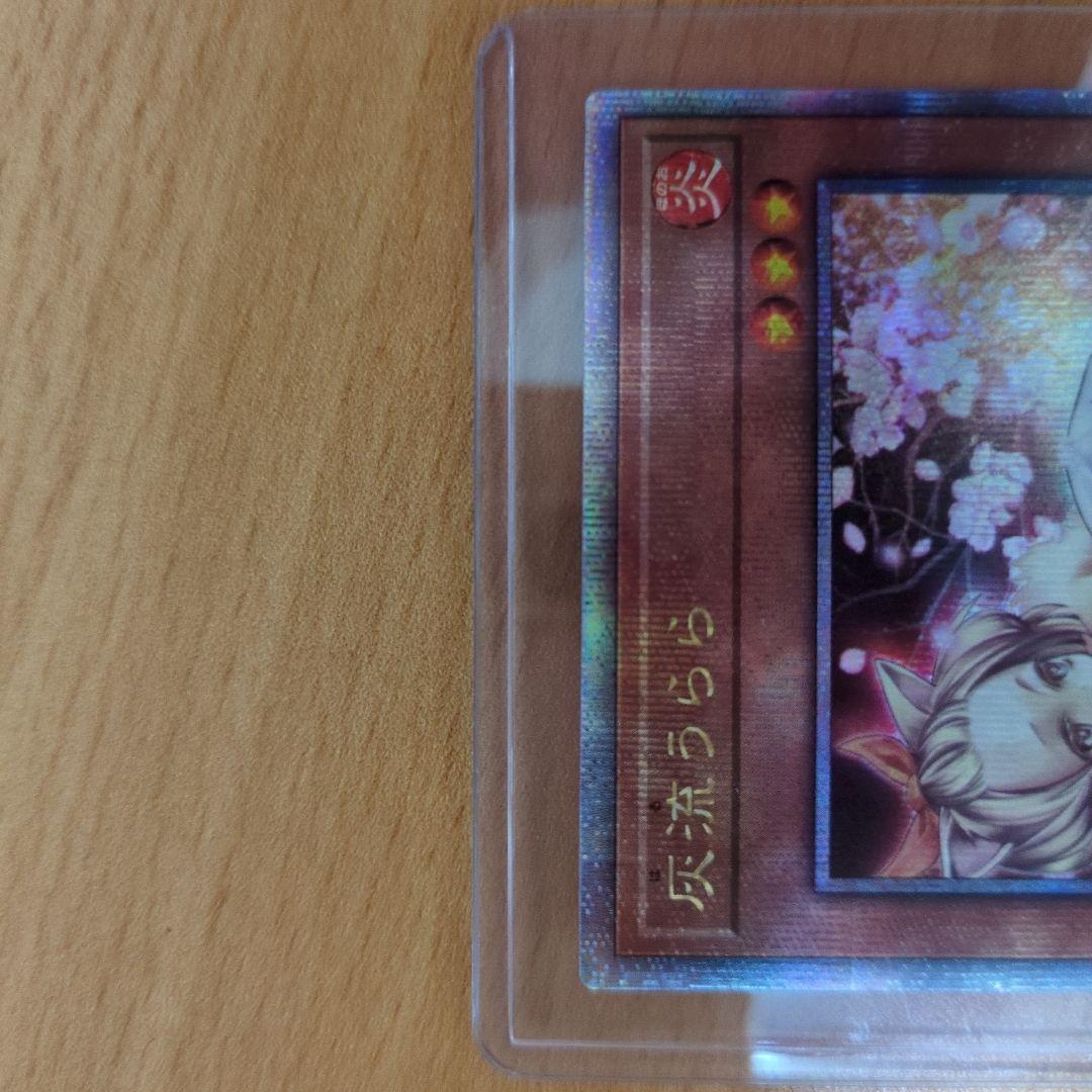 遊戯王OCG 灰流うらら 25th