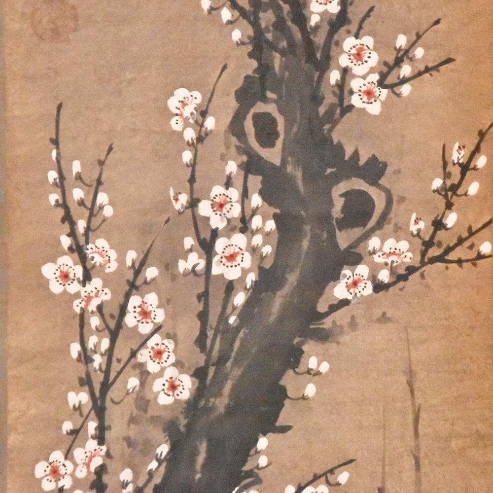 中国美術 王暉作 掛け軸 玉樹清暉 丙寅冬月 梅の図 唐物唐本 中国近代画家