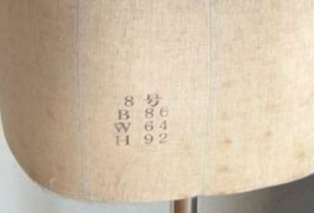 トルソー　ボディ