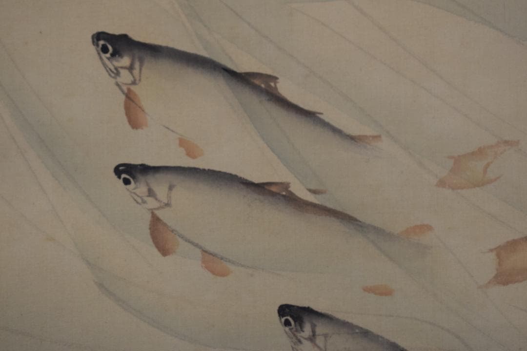 【真作】若林松渓/松渓谷/鮎之図/楓枝登鮎図/掛軸☆宝船☆Z-117