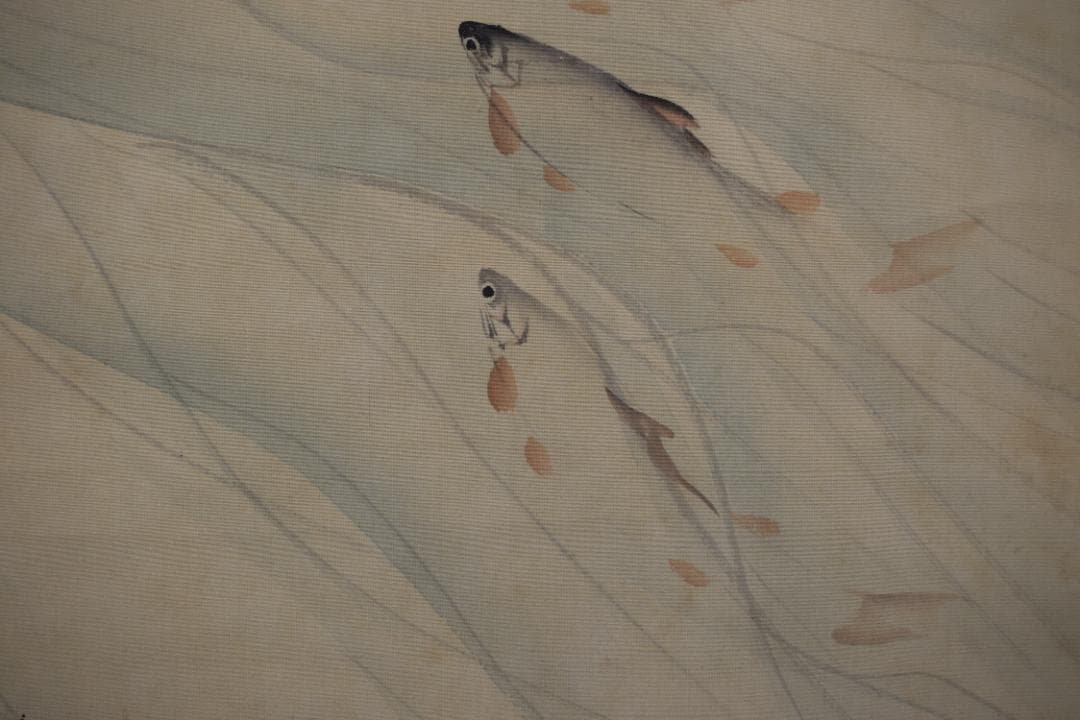 【真作】若林松渓/松渓谷/鮎之図/楓枝登鮎図/掛軸☆宝船☆Z-117