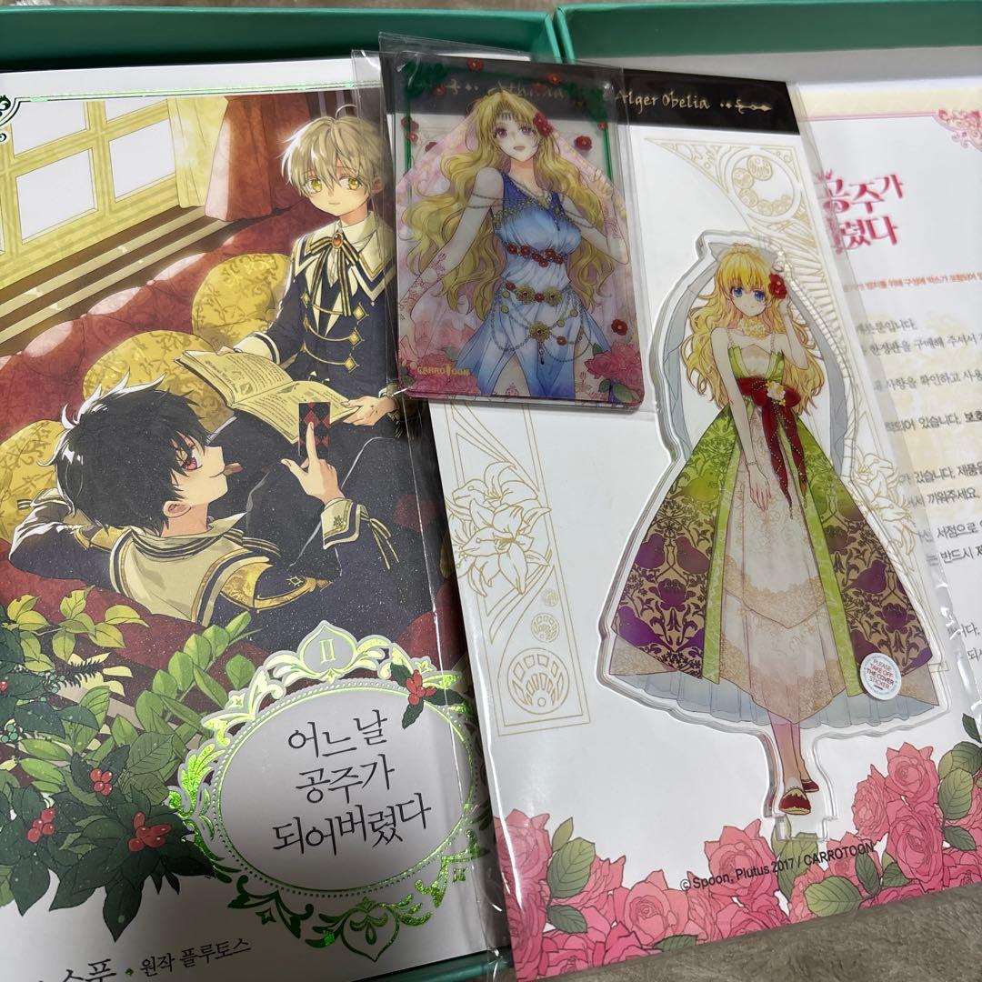 ある日、お姫様になってしまった件について 韓国版 ある姫 豪華限定版 限定 原作