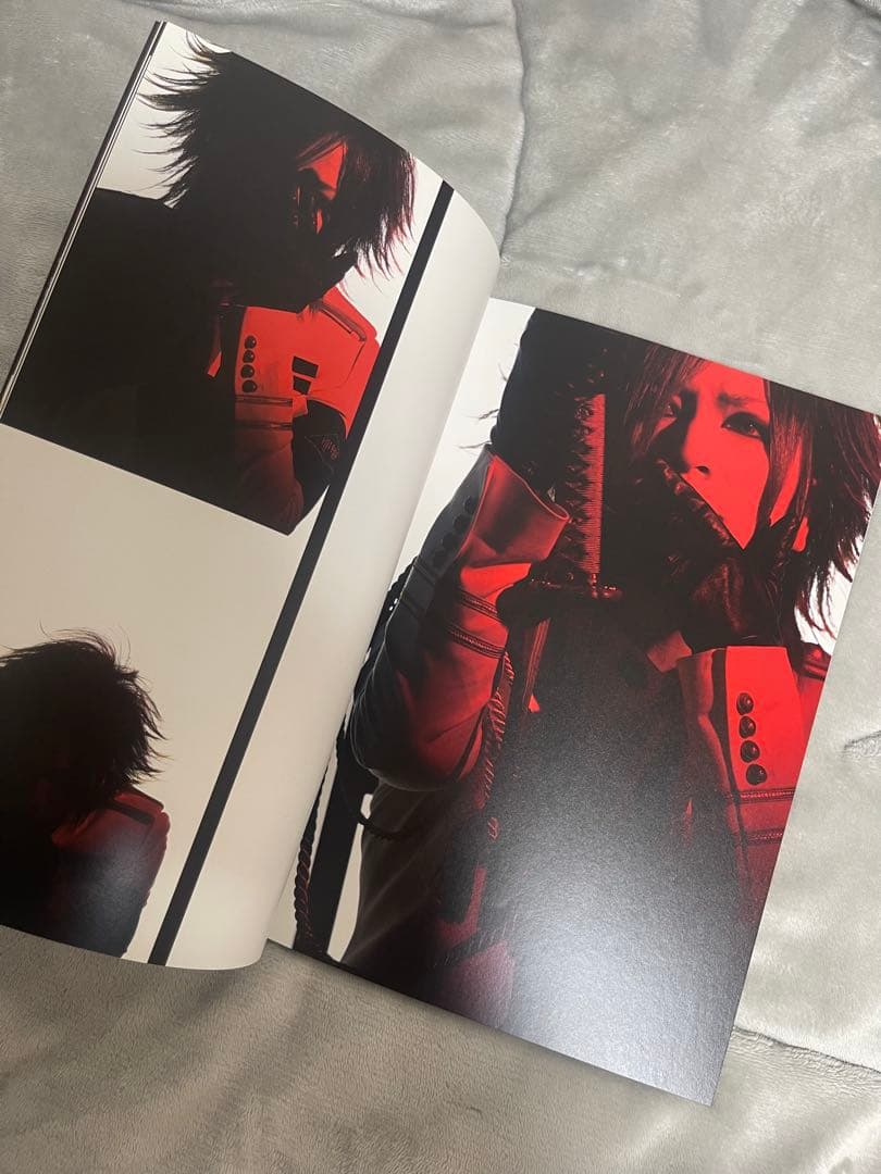 the GazettE PAMPHLET 暴動区愚鈍の桜 ガゼット パンフレット