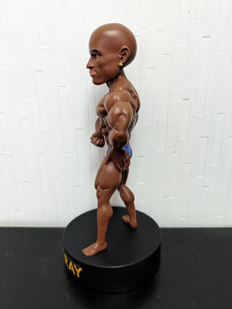 iron dolls ショーン・レイ フィギュア マッチョフィギュア
