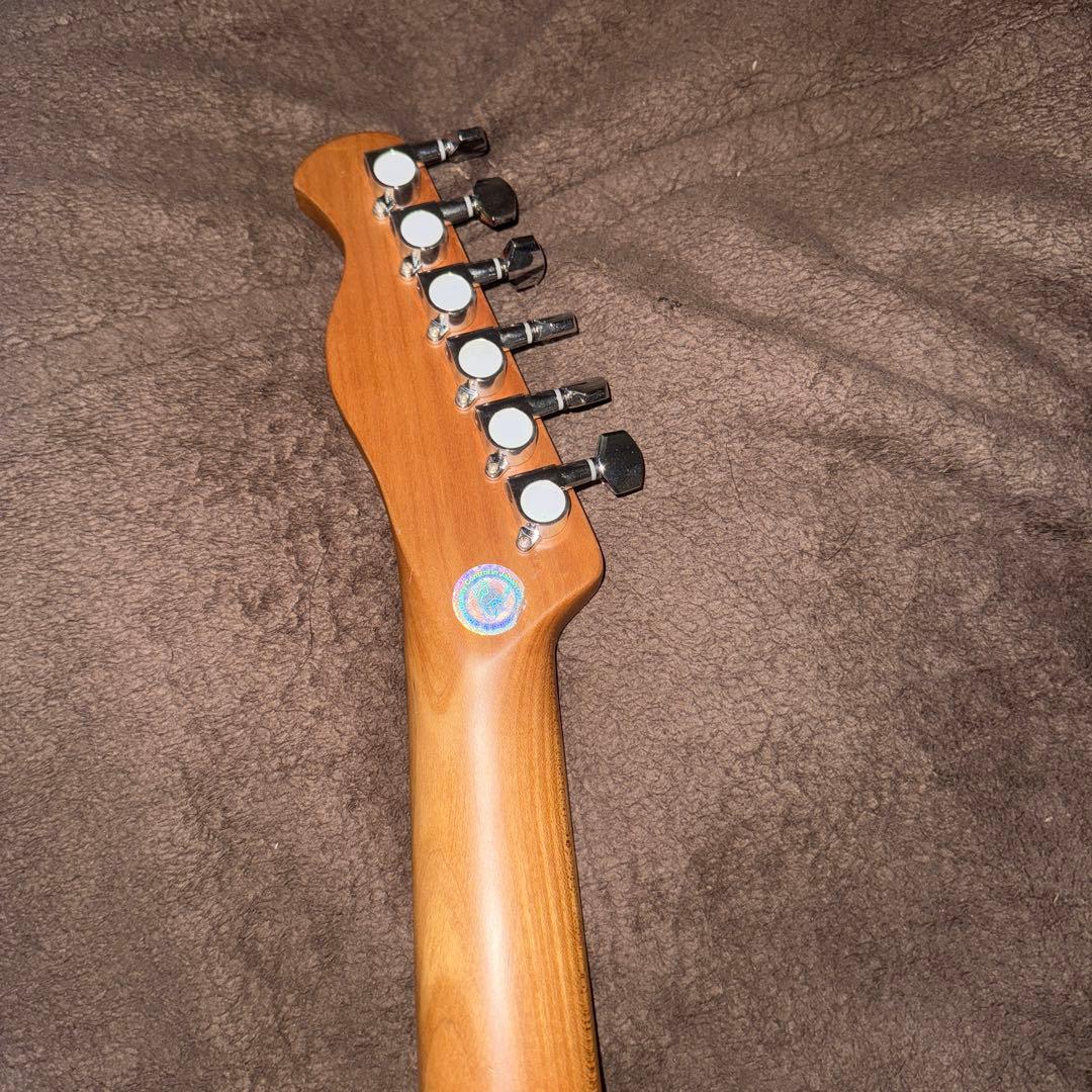 mina　BACCHUS BTE-1-RSM/M DLPB