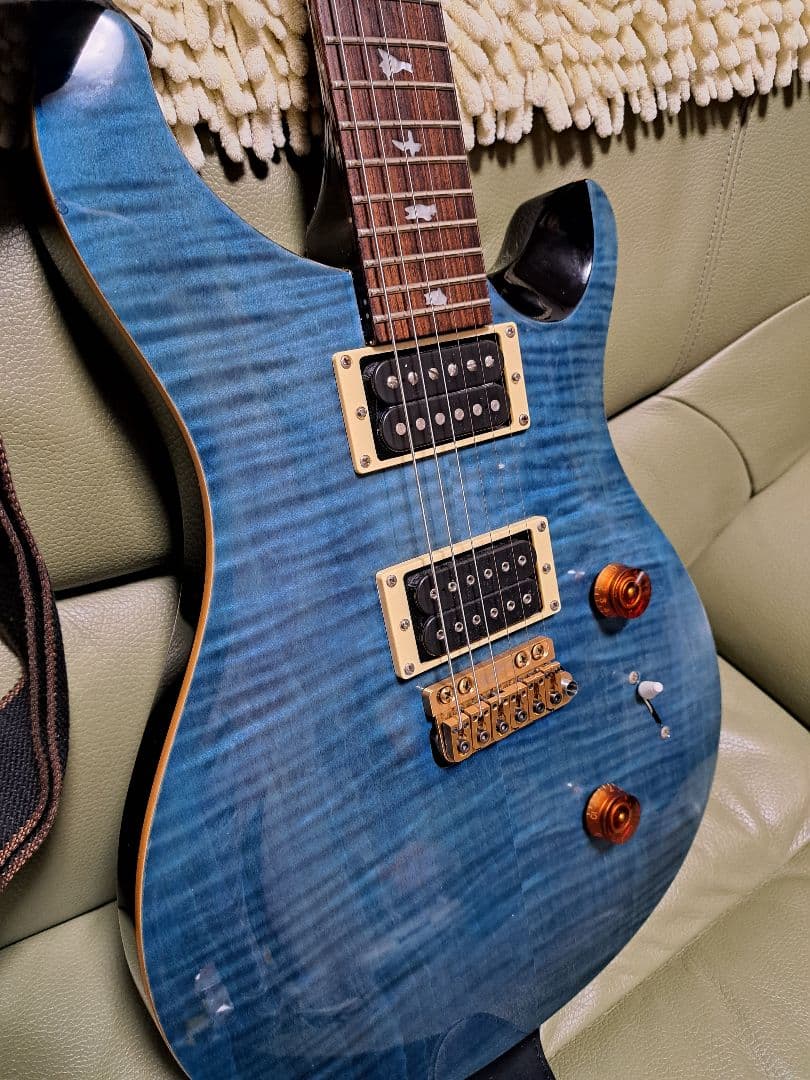 ギター PRS SE custom 24 Modify vegatrem