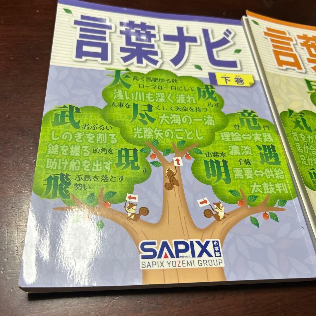 19-21ゆ　重要教材　サピックス　SAPIX 言葉ナビ 上巻・下巻　美品❣️
