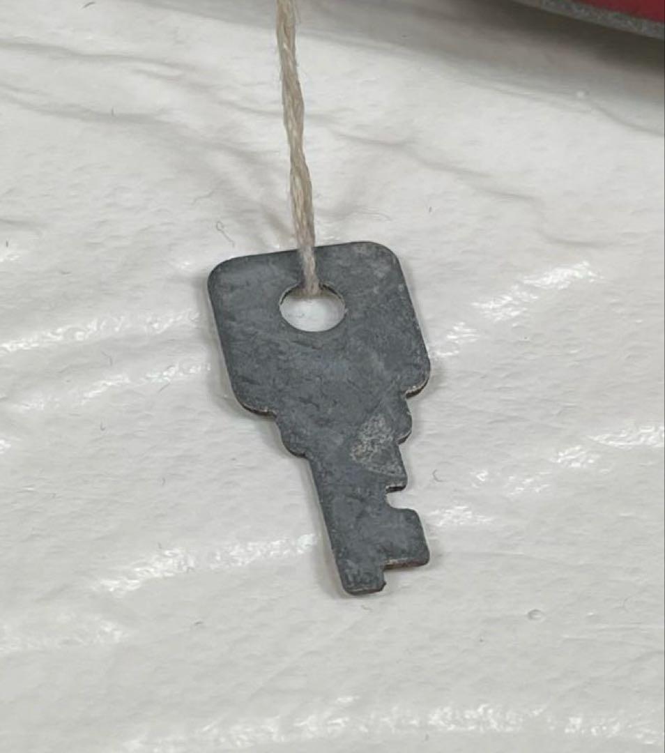 高級 中国 弦楽器　二胡 龍頭 竜頭 民族楽器 蛇革　ハードケース付属