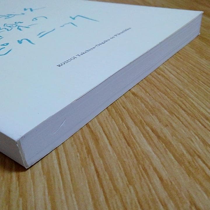 小杉武久 「音楽のピクニック」 図録