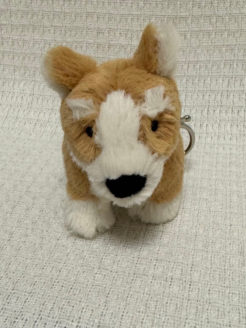 ジェリーキャット ベティ コーギー バッグチャーム キーホルダー