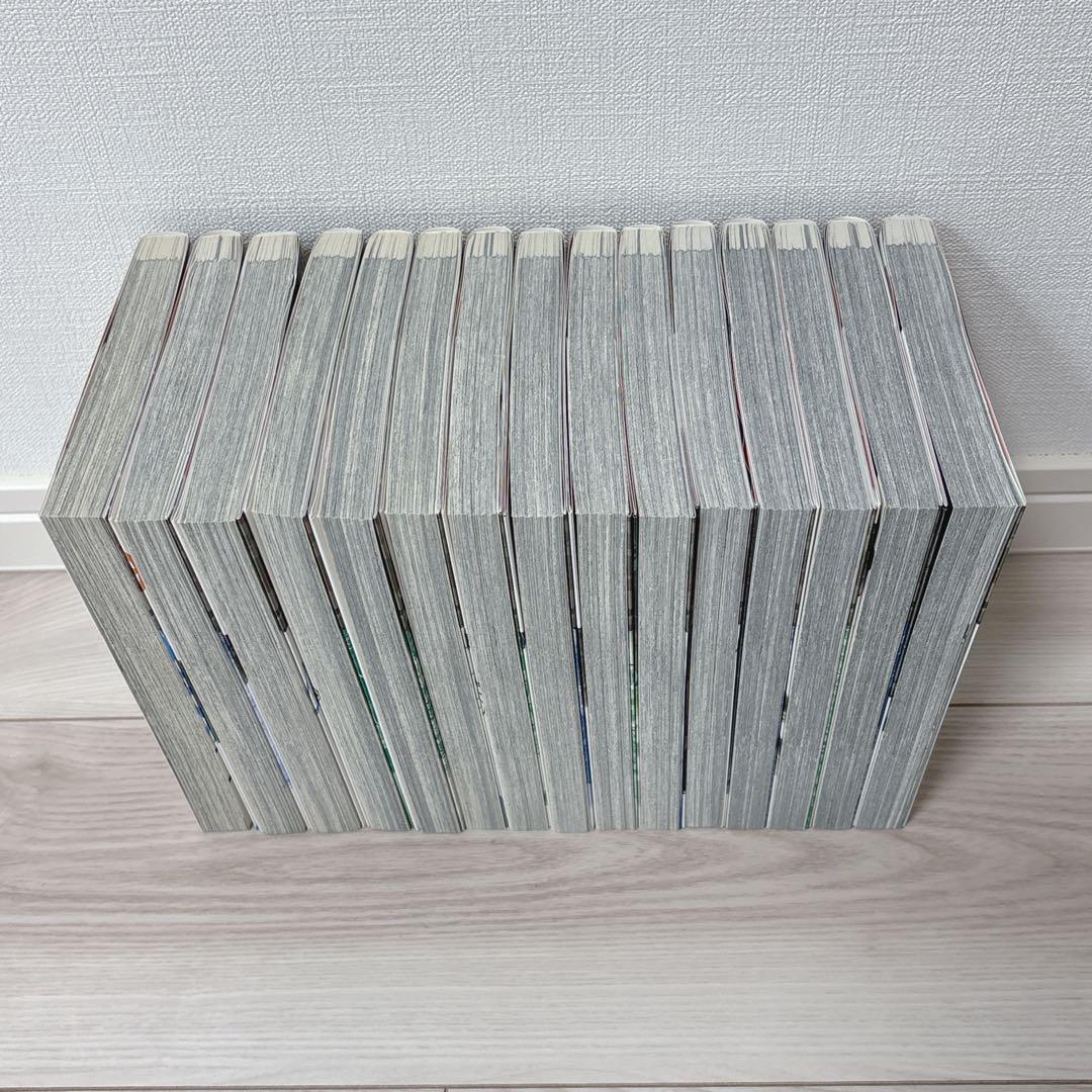 ライジングサン 全15巻+ライジングサンR 1～17巻