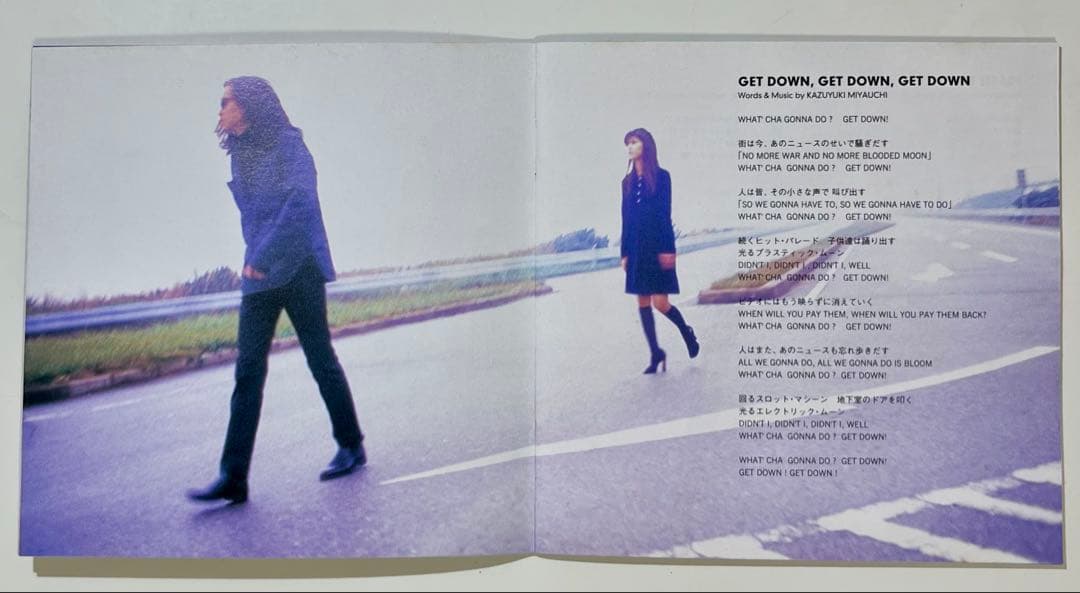 ICE「ICE【希少・初回盤】」「We're in the Mood」2枚セット