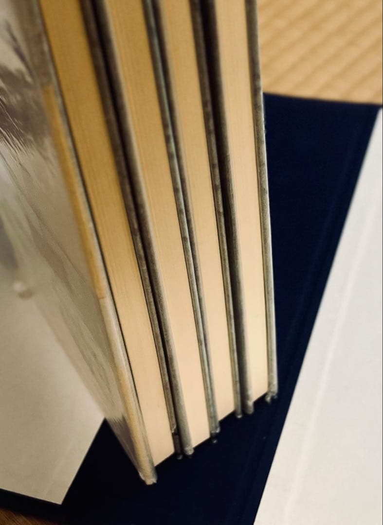 擬山園帖』全四冊‼️ 王鐸54歳〜59歳の臨書集／秩入り（昭和56年 定価3万円）