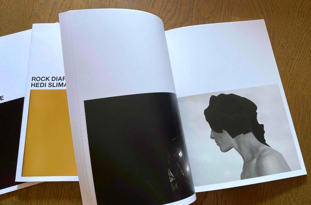 エディ・スリマン「 Rock Diary」Hedi Slimane
