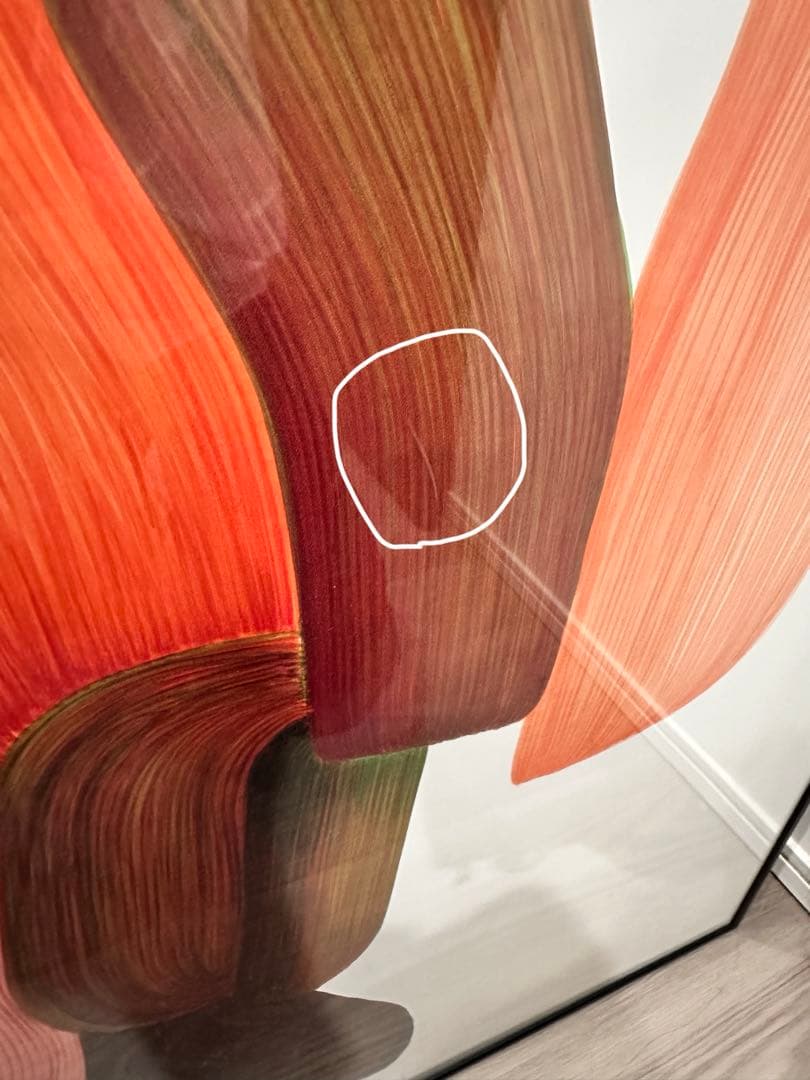 ロナン・ブルレック \"Drawing 14\" 特注フレームセット