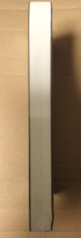 人渣反派自救系統 クズ悪役の自己救済システム 2巻 【タイ版/新装版】