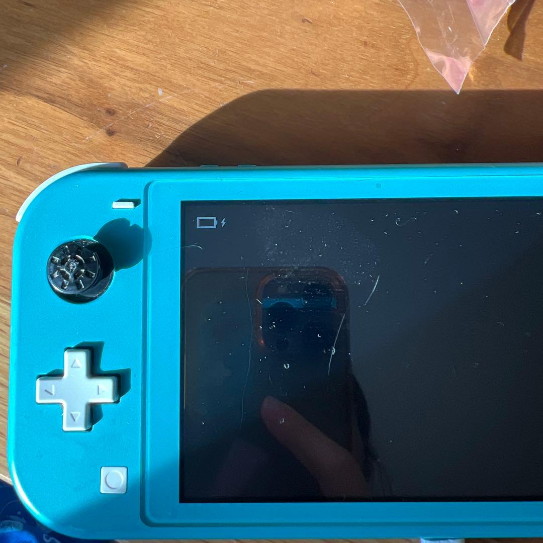 switch light スイッチ　ライト　ターコイズ　ブルー　任天堂