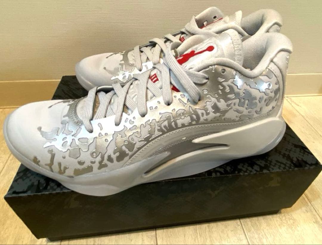セール　ジョーダン　ザイオン3 PF リキッドメタル 25cm シルバー