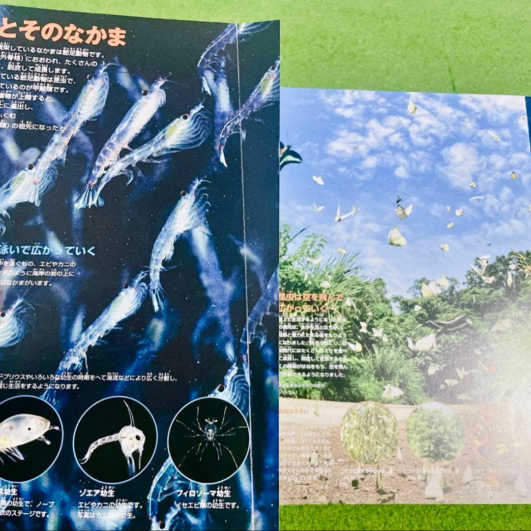 小学館の図鑑NEO 5冊セット　DVD有り