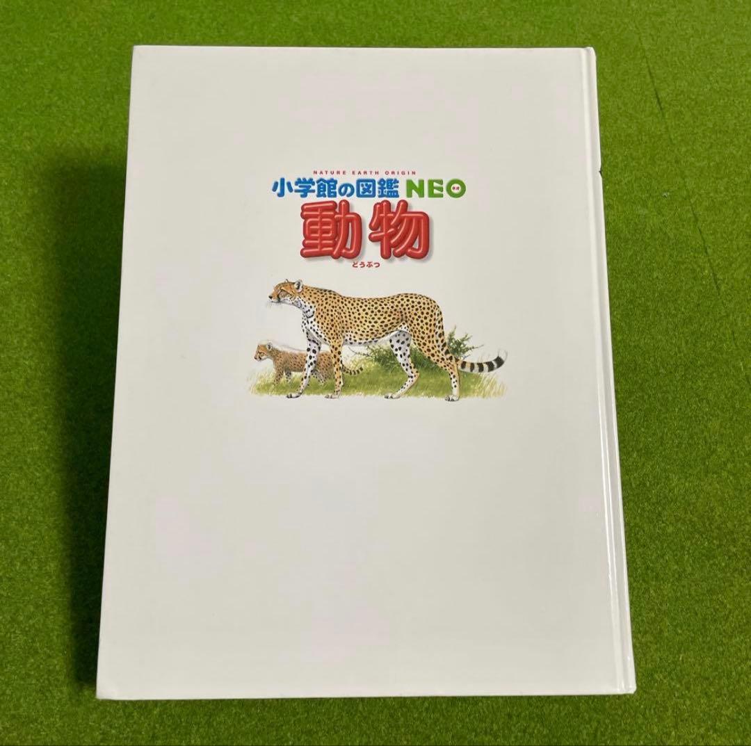 小学館の図鑑NEO 5冊セット　DVD有り