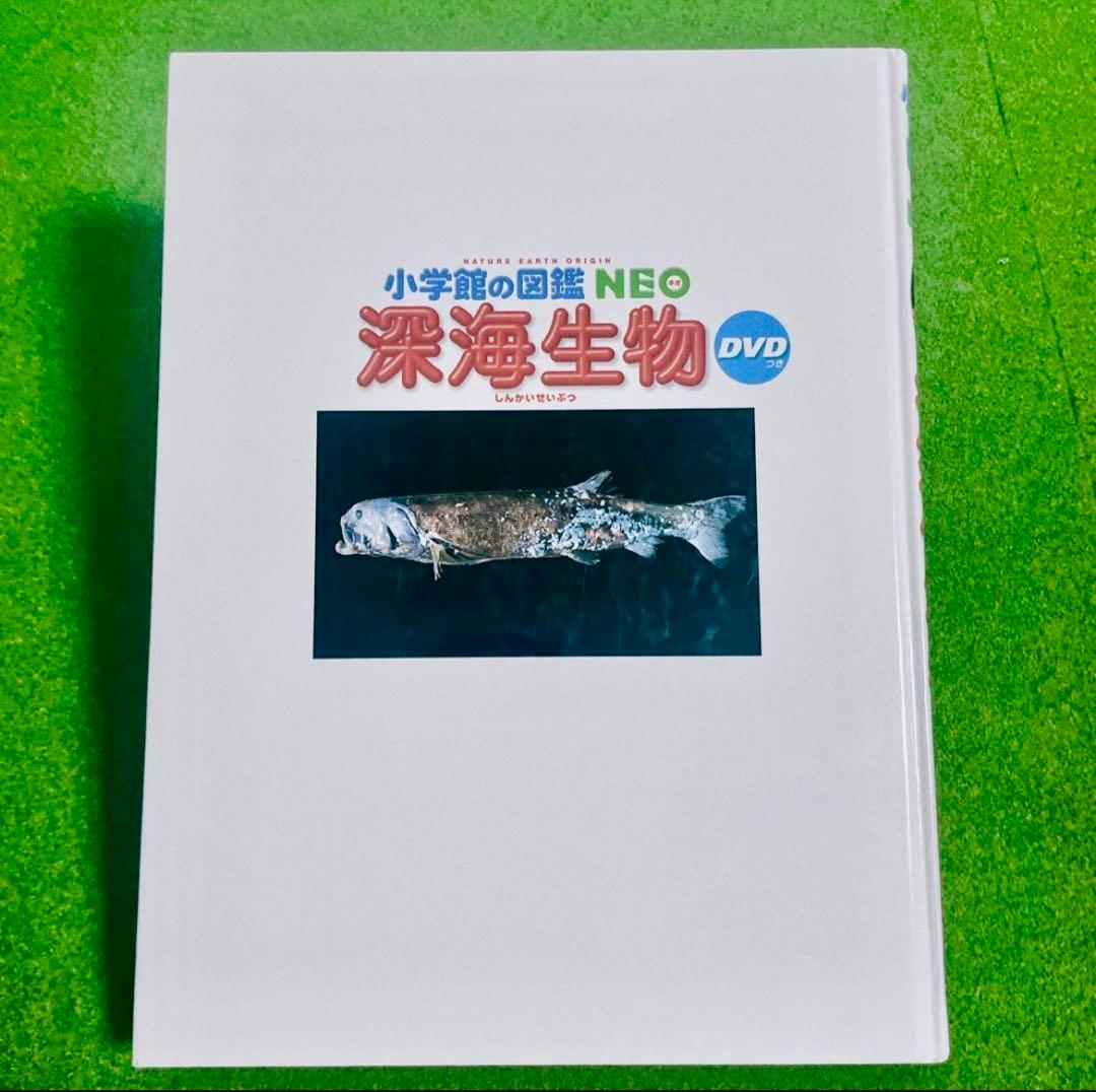 小学館の図鑑NEO 5冊セット　DVD有り
