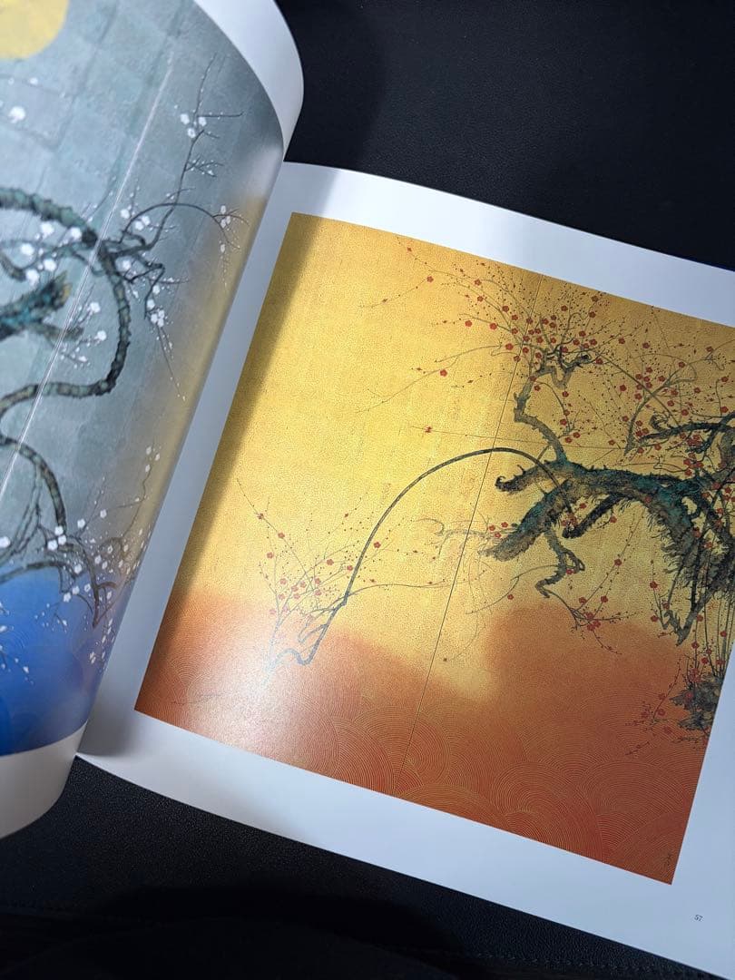 石踊達也画集　新鋭画家のグローバルな活動　講談社