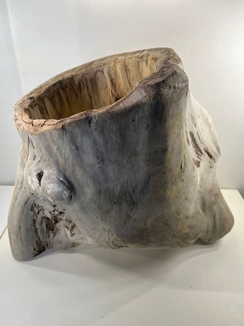 r86特大流木 アク抜き済み 爬虫類シェルター インテリア オブジェ テラリウム