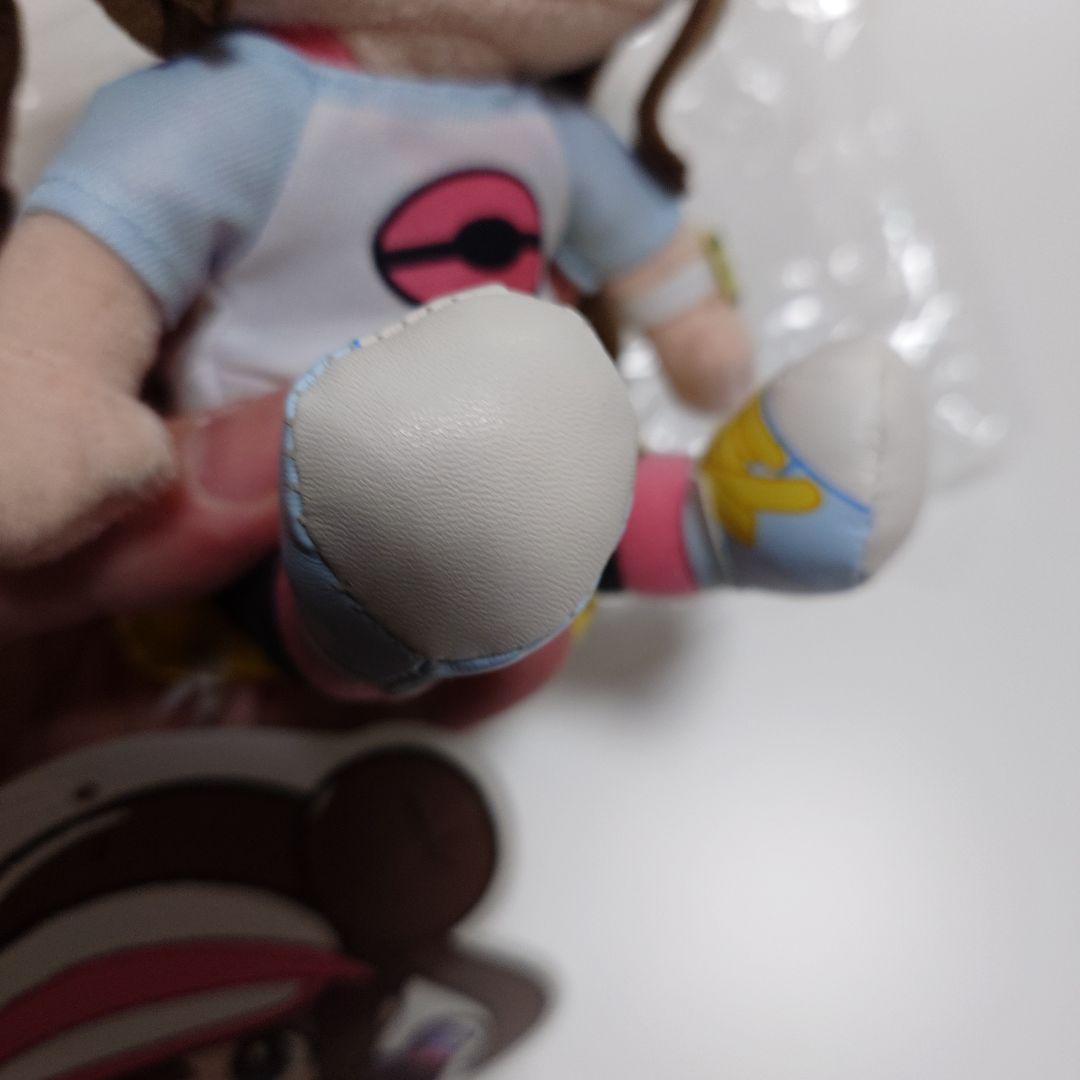 メイ　ポケモン　ぬいぐるみ　未使用　美品 タグ付き