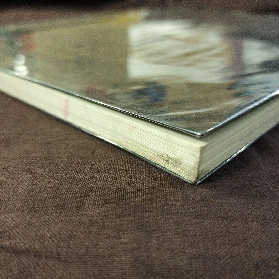 ピエール・モリニエ　DER SCHAMANE