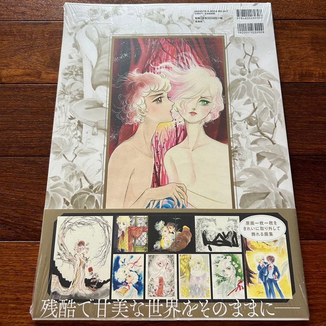 匿名☆竹宮惠子☆少年の詩☆未開封☆大判画集