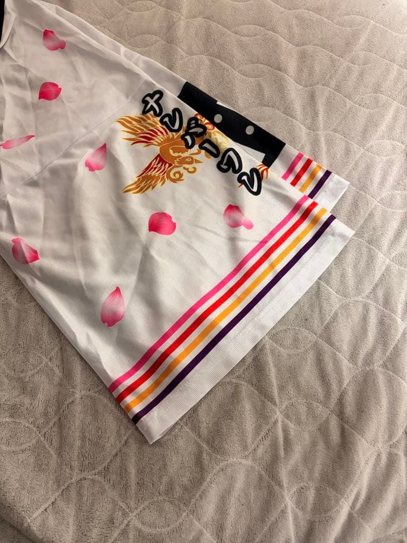 ももいろクローバーZ 法被