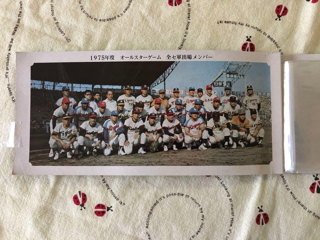 プロ野球カード　大量