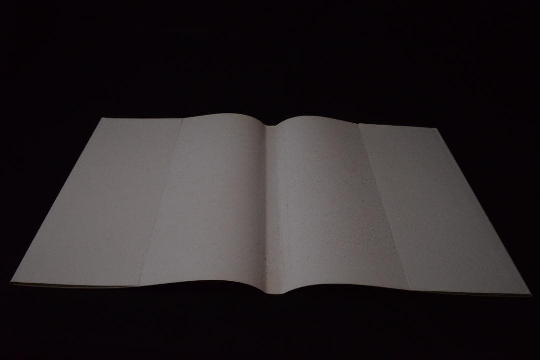 アート・デザイン・音楽 Jean-Francois Jonvelle: A La Parisienne