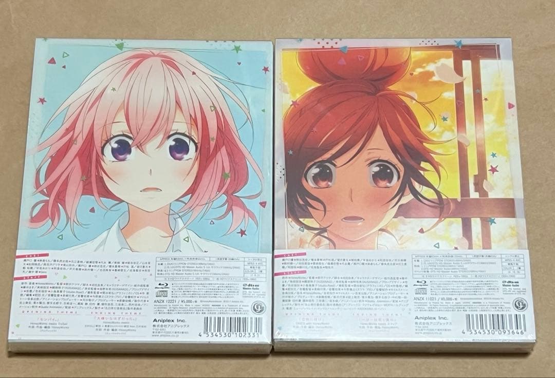 好きになるその瞬間を ずっと前から好きでした 告白実行委員会 完全生産限定版