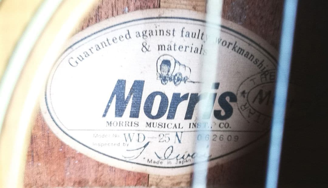 Morris モーリス WD-25N アコースティックギター ダヴモデル
