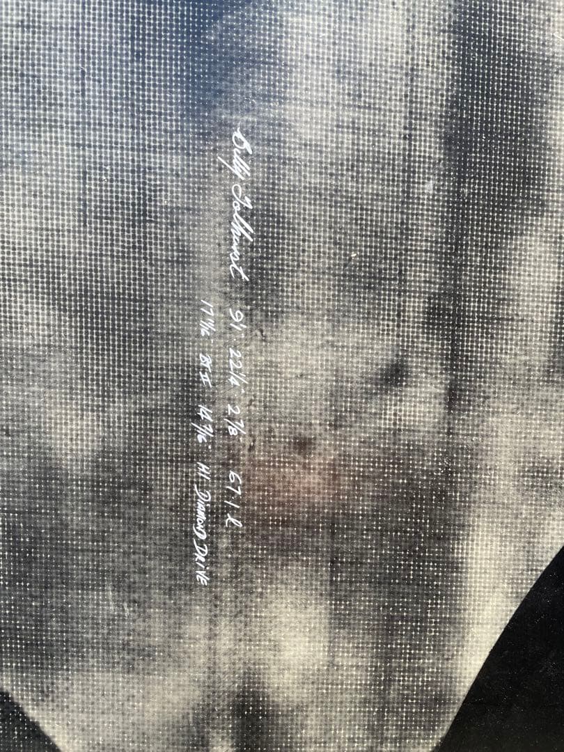 THUNDERBOLT HI Diamond Drive ロングボード9.1