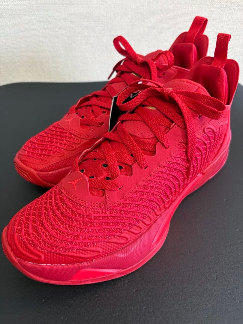 シューズ(男性用) NIKE JORDAN LUKA1 PF \"For The Love\" 28cm