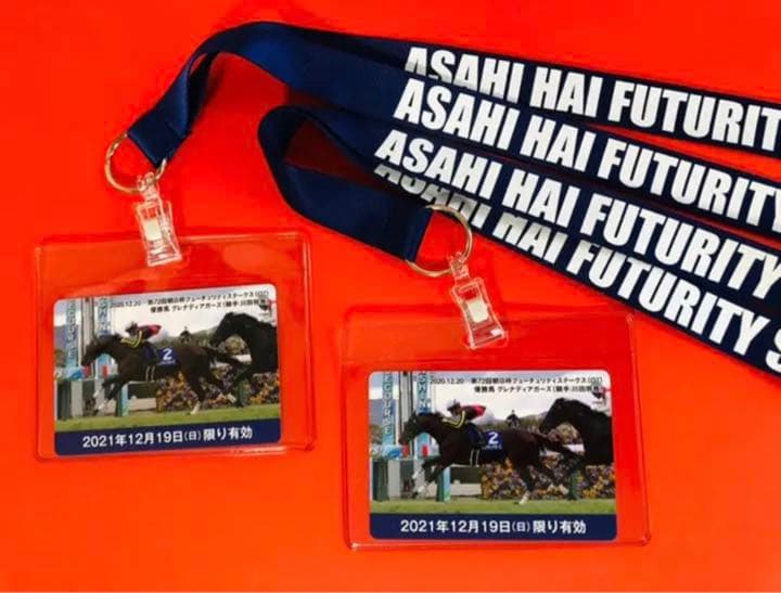 有馬記念 入場券 未使用 他多数