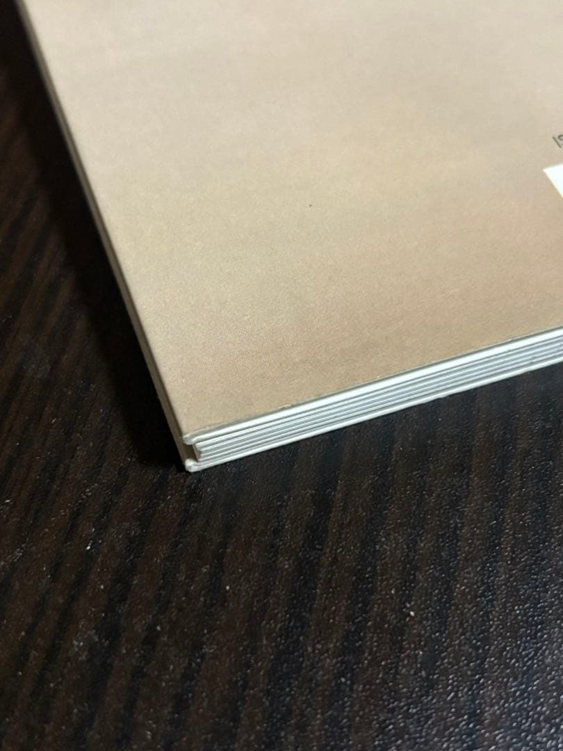 VORTEX Antoine d'Agata アントワーヌ　ダガタ