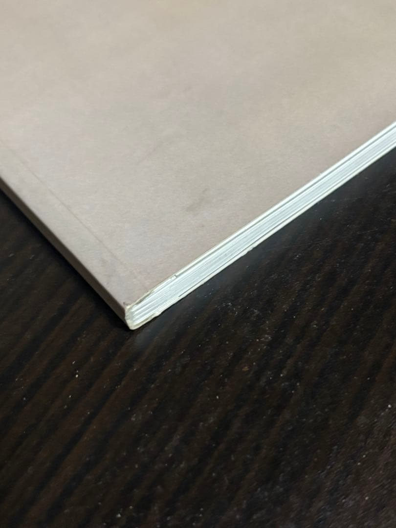 VORTEX Antoine d'Agata アントワーヌ　ダガタ