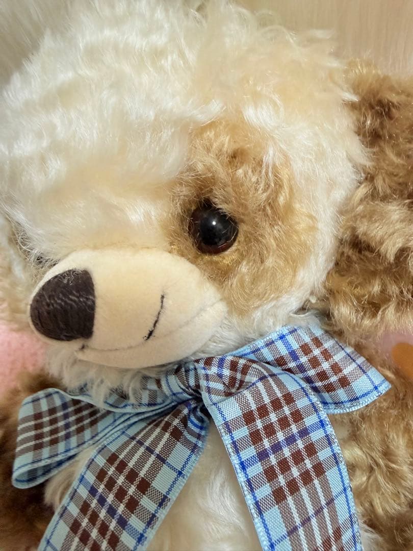 ☆メリーソート☆チーキー☆ココアパンダ☆100体限定☆No.33