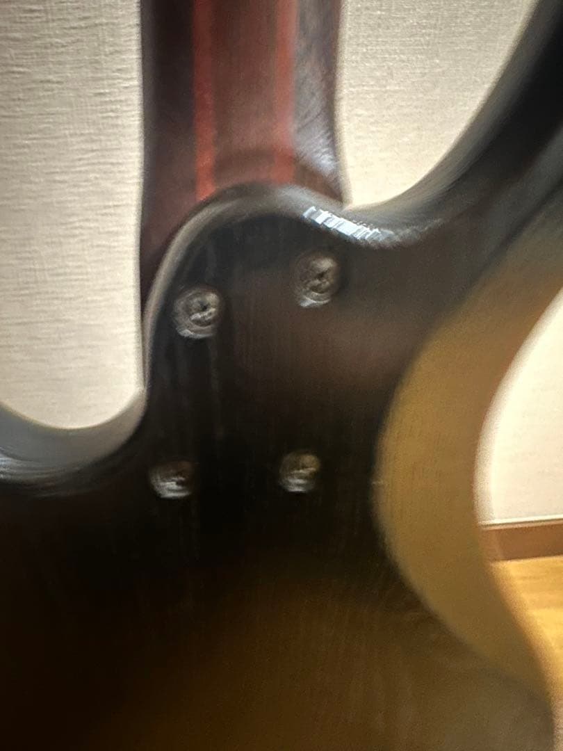 Ibanez アイバニーズ　EDB555 Ergodyne 5弦ベース