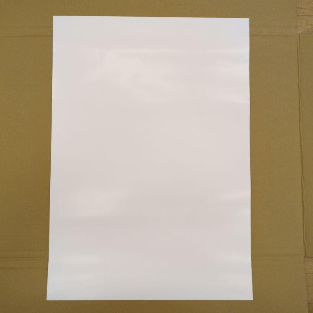 【非売品】スイッチ2 ソフト ゼルダ無双 封印戦記 店頭告知用 B2ポスター