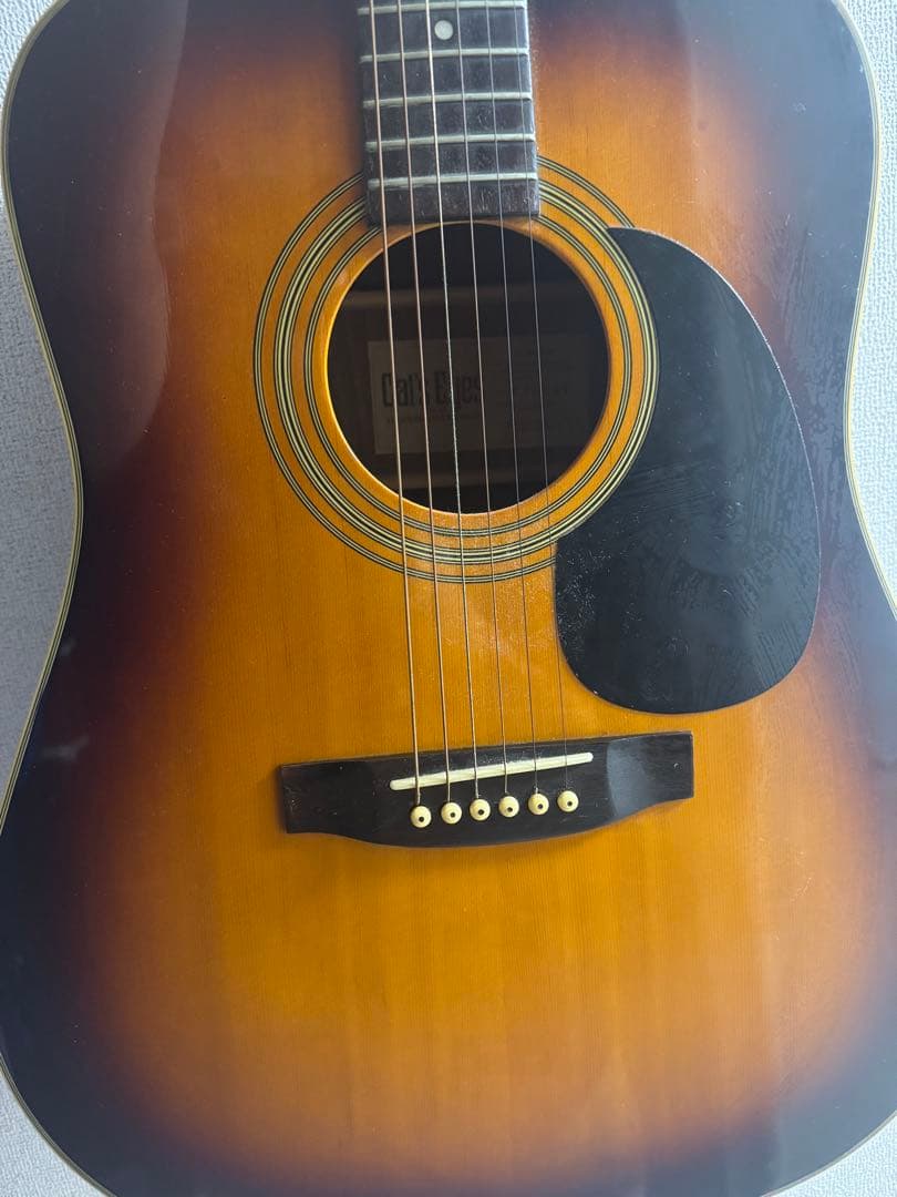 cat's eyesアコースティックギター　ソフトケース付き