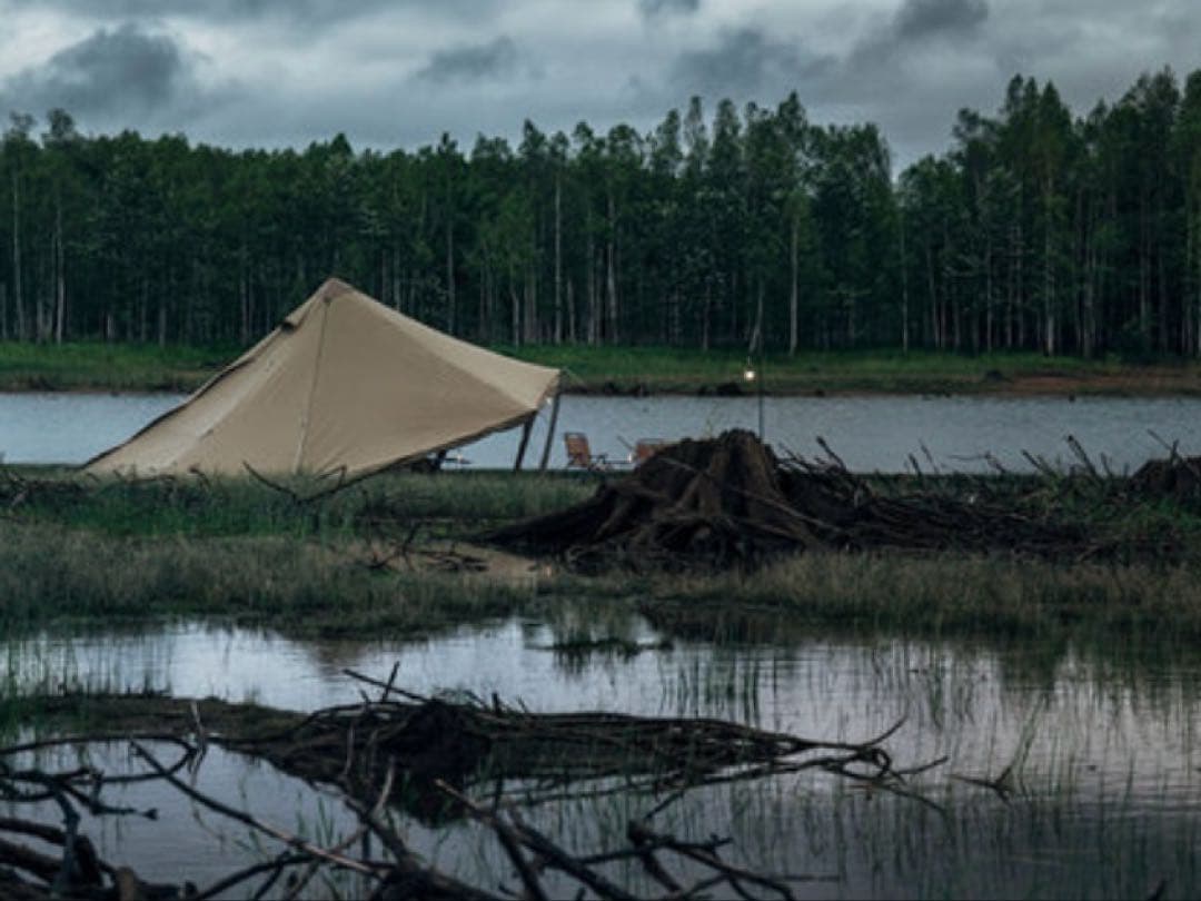 【新品】ゼインアーツ ウータL TC WOOTA-L TC