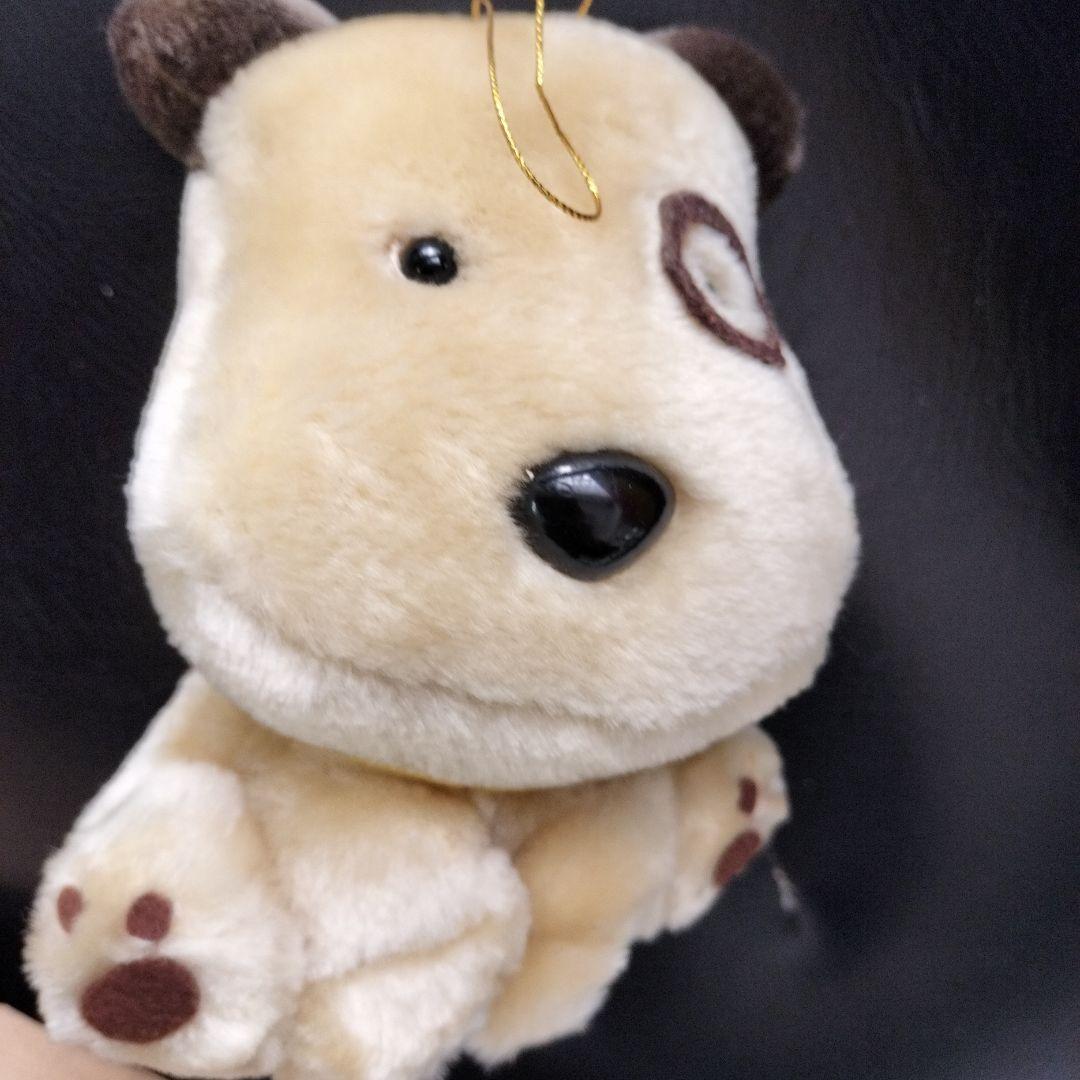 うちのタマ知りませんか　ぬいぐるみ